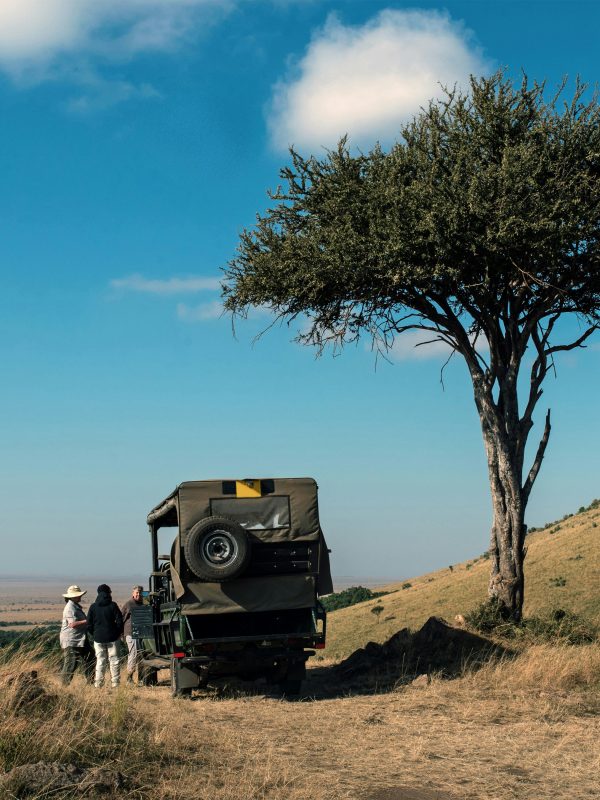 Picnic Lunch in Mara on a Kenya Safari Guest Enjoying Picnic Lunch during a Safari Trip in Kenya, In Style