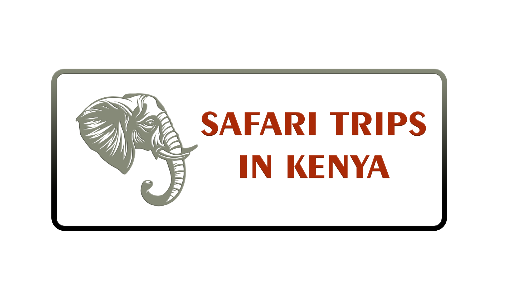 Safari Trips Logo Main Safari Trips In Kenya Logo