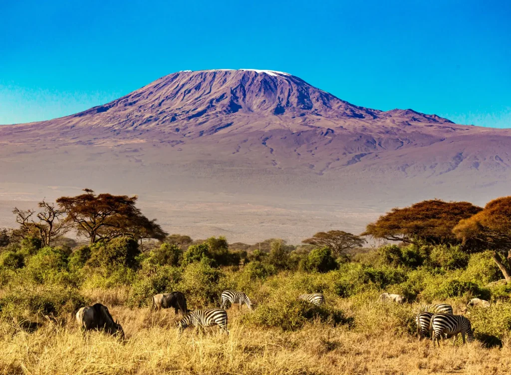 Amboseli National Park